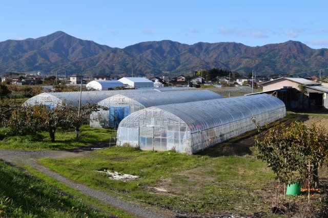 ハウスの換気装置について① ー換気装置の種類と側窓換気装置ー
